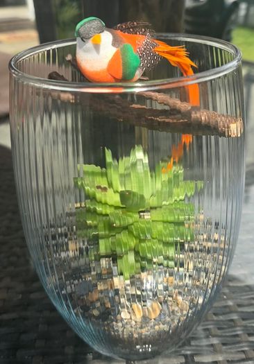 indoor