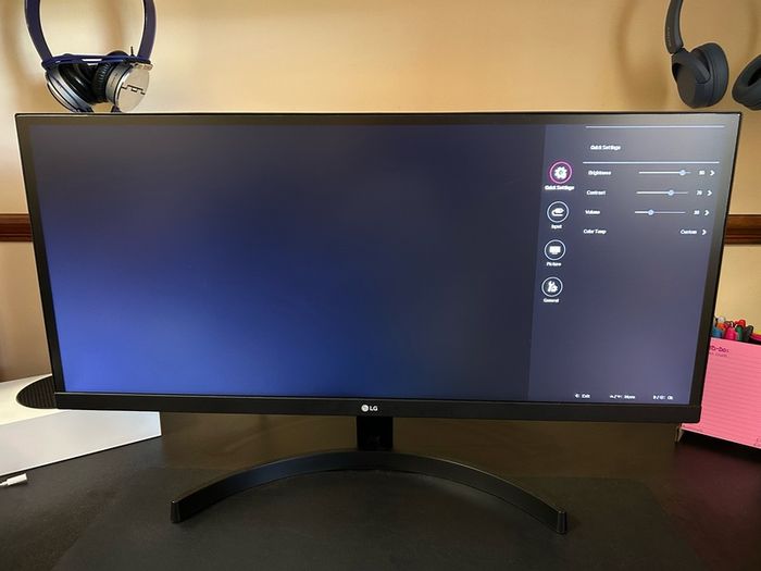 LG Ultrawide 29" Monitor
