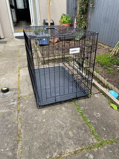 Dog Cage