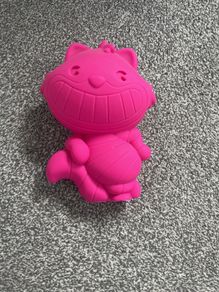 Cheshire Cat storage case