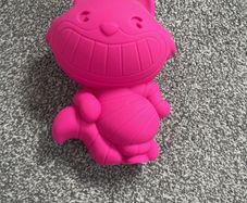 Cheshire Cat storage case