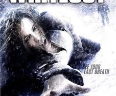 Whiteout (DVD)