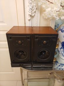 MS10i speaker
