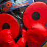 childrens boxing gloves and pads Image 2