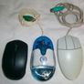 mouse Image 4