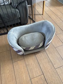 dog couch