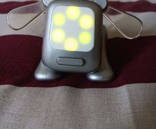Rare Vintage 2005 Silver Hasbro iDog Pup. Working - See My Video on Ebay!