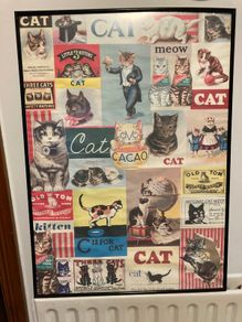 Pictures & Posters
