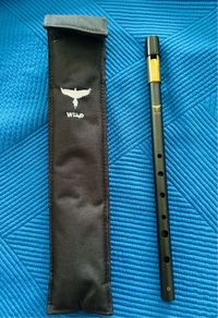 Wild Irish WHISTLE and good carry case