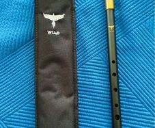 Wild Irish WHISTLE and good carry case
