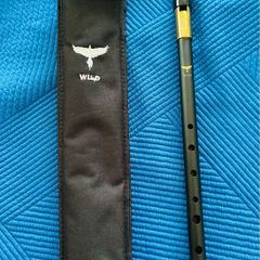 Wild Irish WHISTLE and good carry case