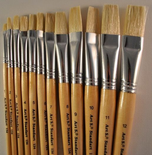 Natural Bristle Hair Brush - Series 134 (Set of 12)