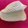 Ferlaro Shell Ashtray Image 2