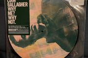 Liam Gallagher Vinyl Picture Disc