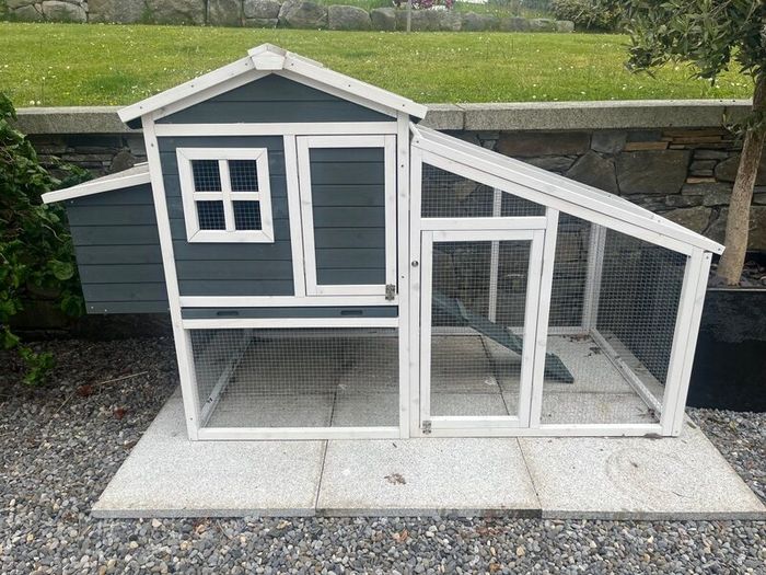 Brand New Amy Chicken Coup with Run 250 ONO