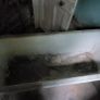 Bath Image 2
