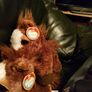 Soft Toy Aurora Dreamy Eyes Horse Brand New Image 2