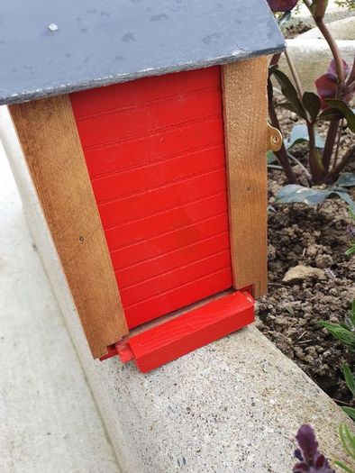 bird box