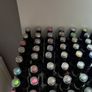 The Manicure Company Gel Polish Image 3