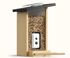 BIRDFY Ebony Lite Smart Bird Feeder with Camera and Solar Panel