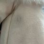 Porcelain Doll Image 5