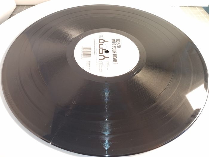 Rozzo - Into Your Heart - Bush Records - ORIGINAL Bush 1994 PRESSING! Quintessential Dublin CLASSIC!
