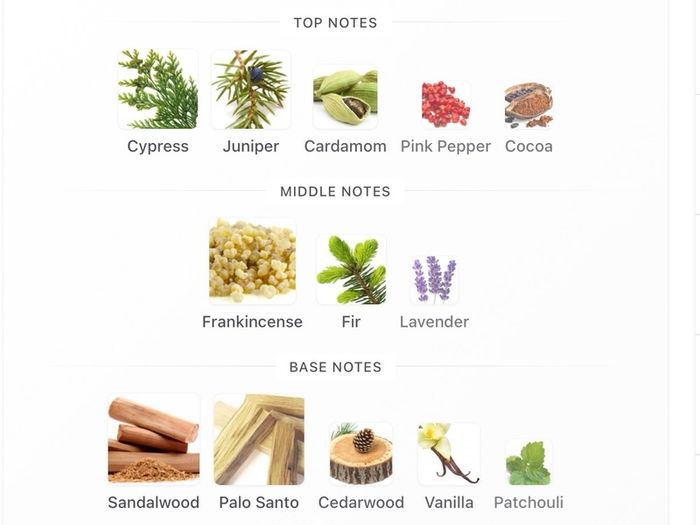 Amouage Timber