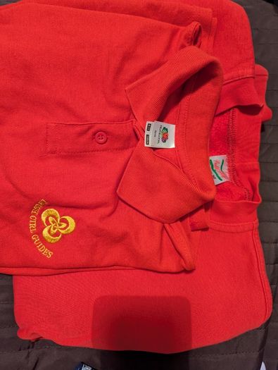Irish girls guides - ladybirds