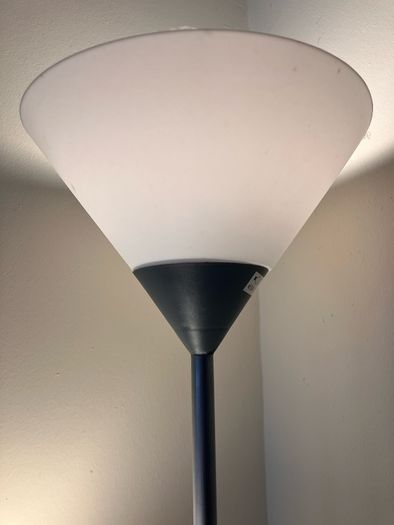 2 Floor Lamps