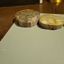 Petrified wood slices Image 8