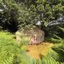 Yurt for sale Image 4