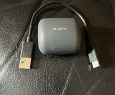 Sony  Linkbuds