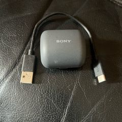 Sony  Linkbuds