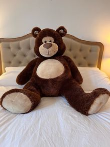 Large Teddy Bear