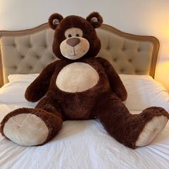 Large Teddy Bear