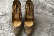 shoes Ted Baker