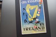 Irish Premium Stamps.