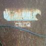 Dung spreader Image 7