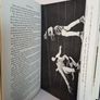 Ringside Seat by Peter Wilson (PT123) Image 6