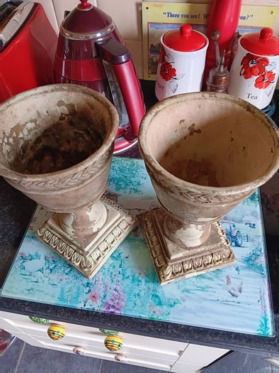 Two urn pots