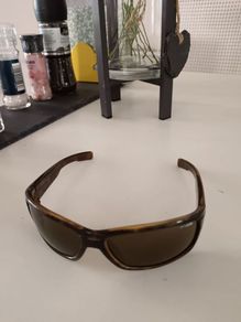 Arnette Sunglasses
