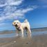 wobblemouth