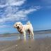 wobblemouth