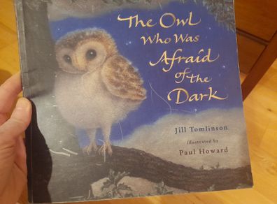 The Owl who was Afraid of the Dark children's book