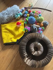 cat toys - including hammock