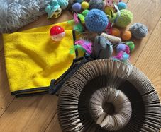 cat toys - including hammock