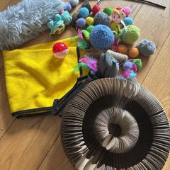cat toys - including hammock