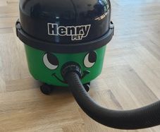 Henry Pet Vacuum Cleaner - 6 months old