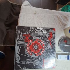 Vinyl The alarm Declaration.