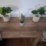 2 David Bust heads, decorative ornaments and artificial plants Image 3